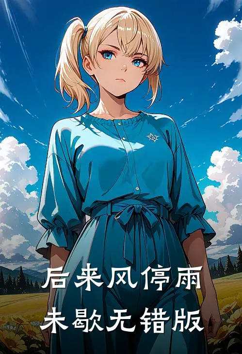 后来风停雨未歇无错版