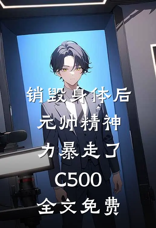销毁身体后，元帅精神力暴走了C500全文免费