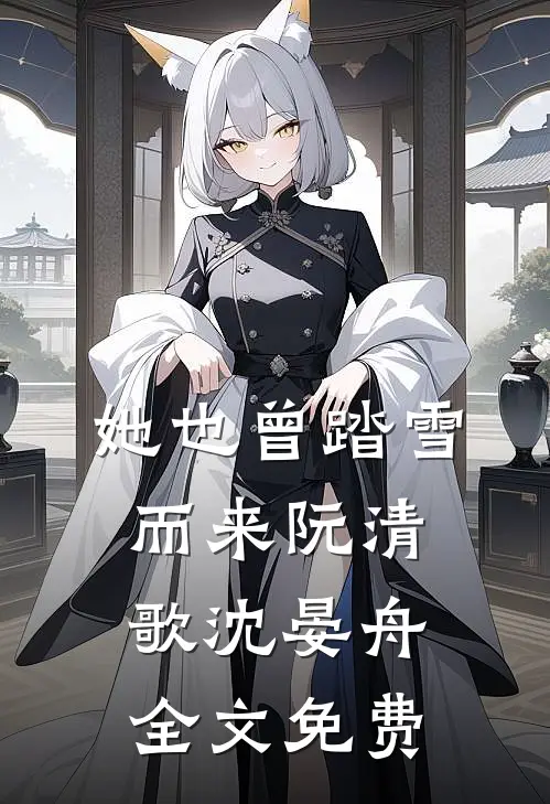 她也曾踏雪而来阮清歌沈晏舟全文免费