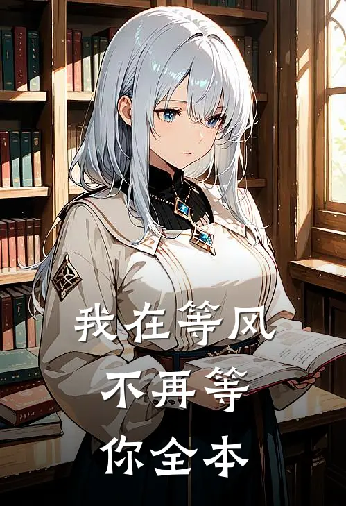我在等风，不再等你全本