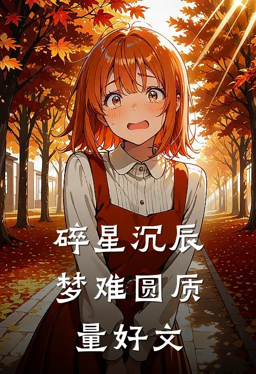 碎星沉辰梦难圆质量好文