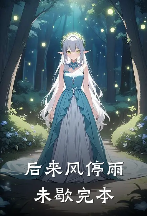 后来风停雨未歇完本