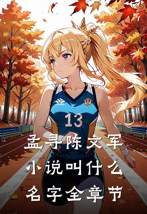 孟寻陈文军小说叫什么名字全章节