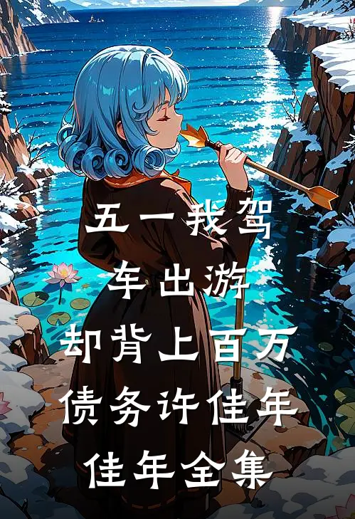 五一我驾车出游，却背上百万债务许佳年佳年 全集