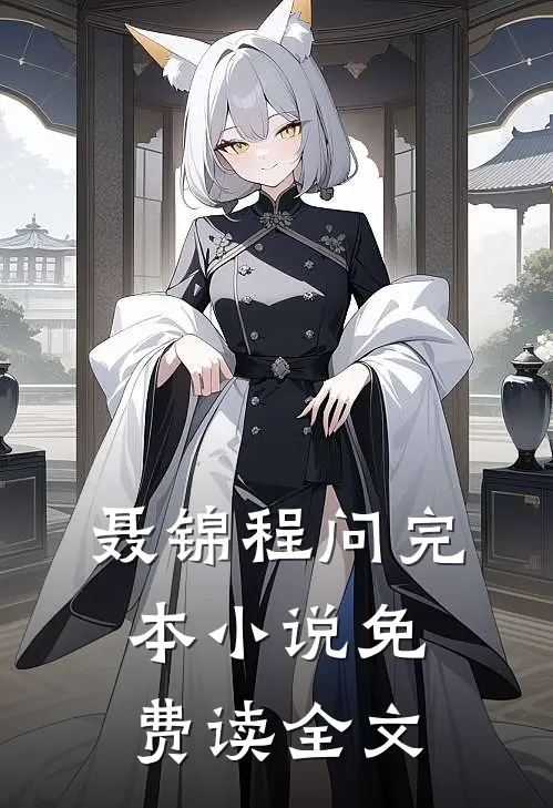聂锦程问完本小说免费读全文