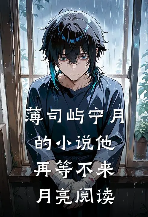 薄司屿宁月的小说他再等不来月亮阅读