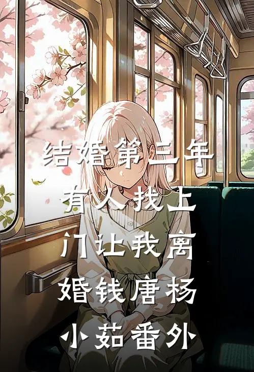 结婚第三年，有人找上门让我离婚钱唐杨小茹 番外