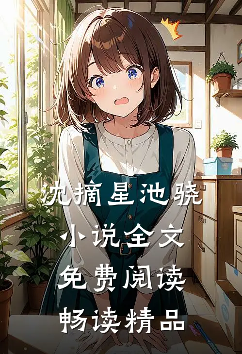 沈摘星池骁小说全文免费阅读畅读精品