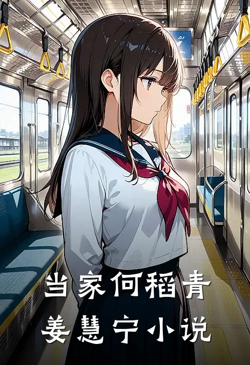 当家何稻青姜慧宁小说