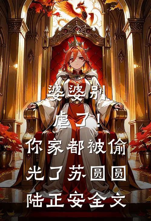 婆婆别虐了！你家都被偷光了苏圆圆陆正安全文