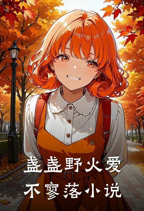 盏盏野火爱不寥落小说