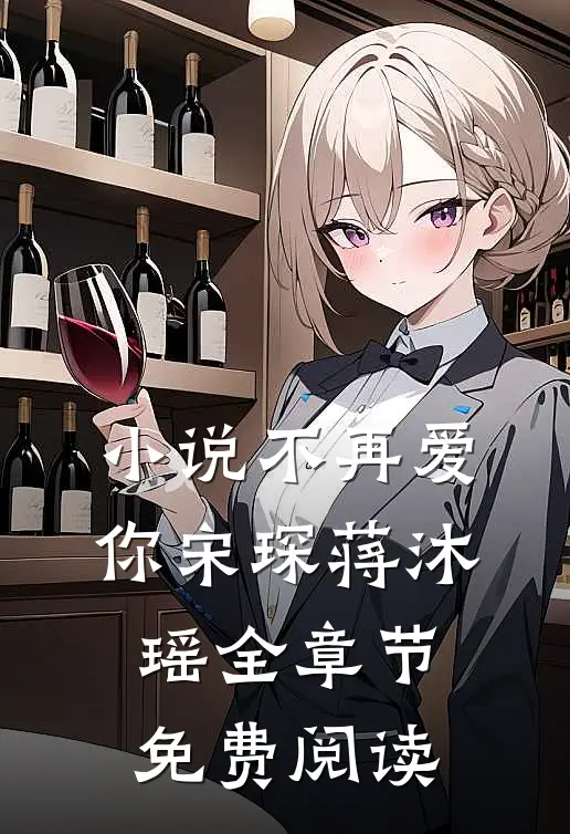 小说不再爱你宋琛蒋沐瑶全章节免费阅读