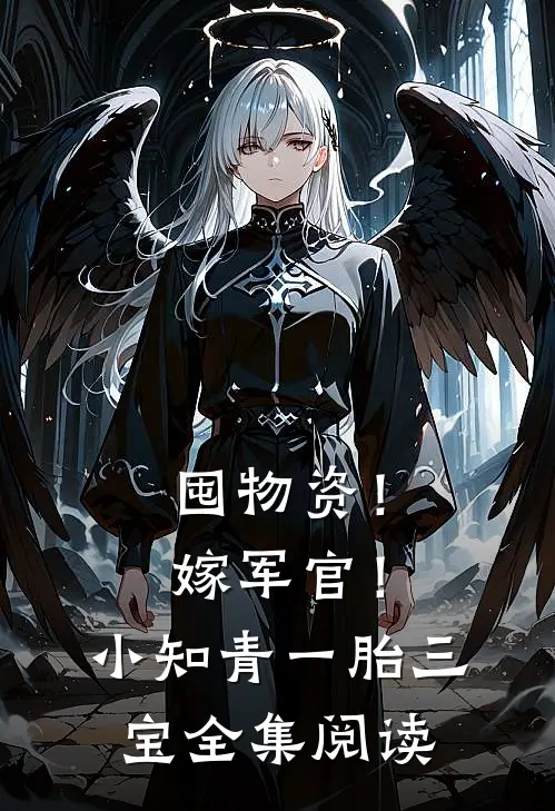囤物资！嫁军官！小知青一胎三宝全集阅读