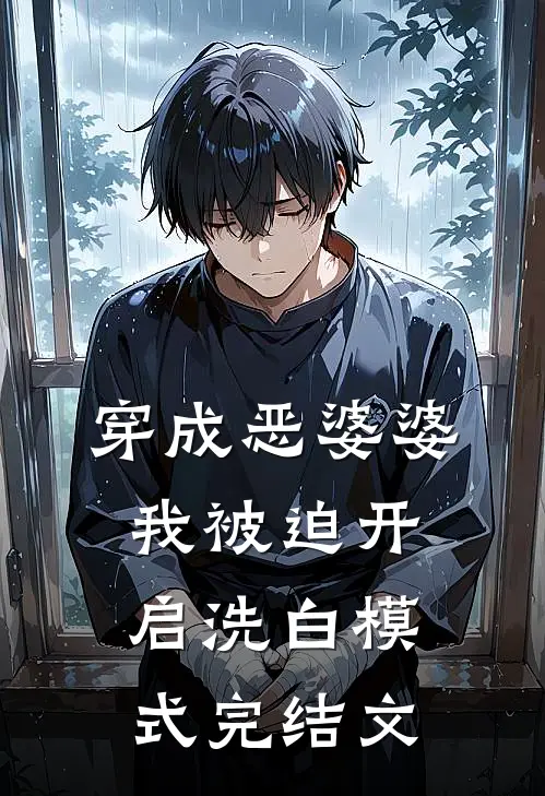 穿成恶婆婆，我被迫开启洗白模式完结文