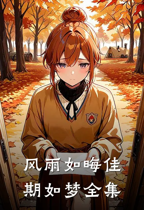 风雨如晦佳期如梦全集