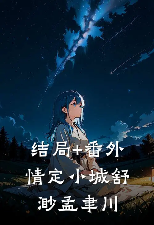 结局+番外情定小城舒渺孟聿川