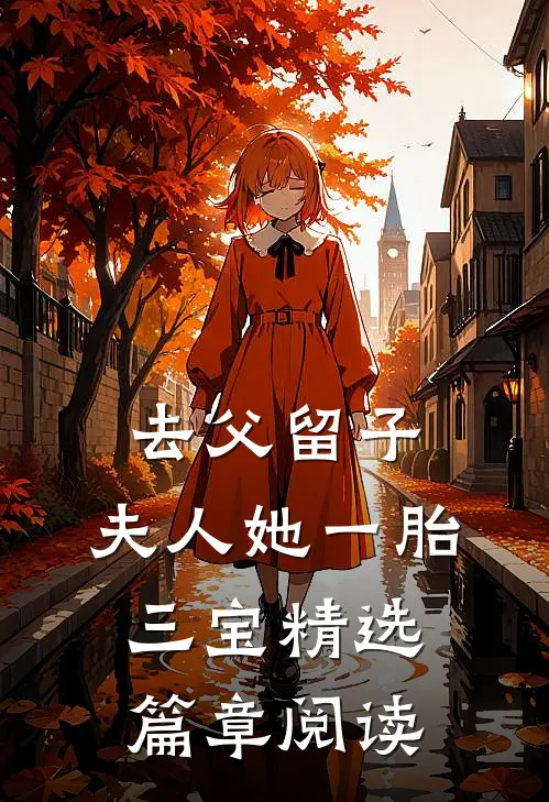 去父留子，夫人她一胎三宝精选篇章阅读