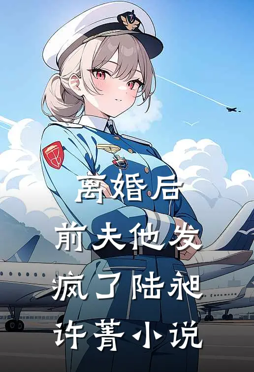 离婚后，前夫他发疯了陆昶许菁小说