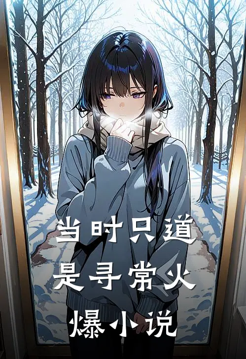 当时只道是寻常火爆小说