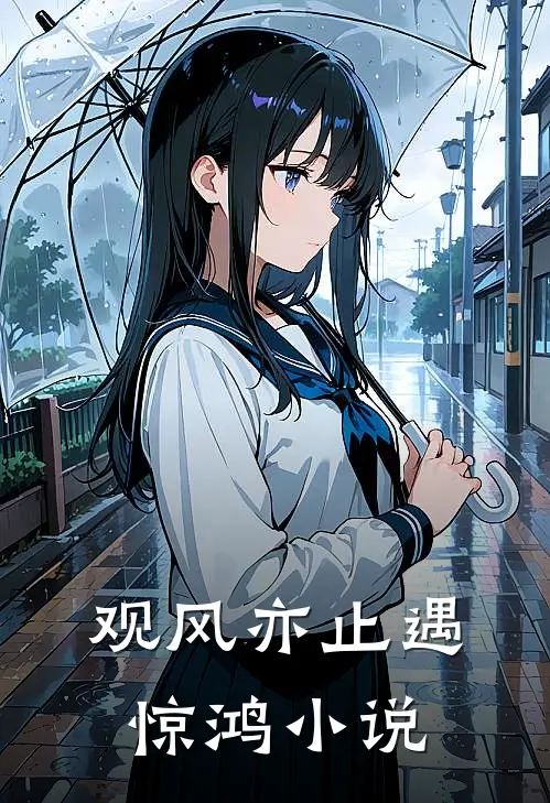 观风亦止遇惊鸿小说