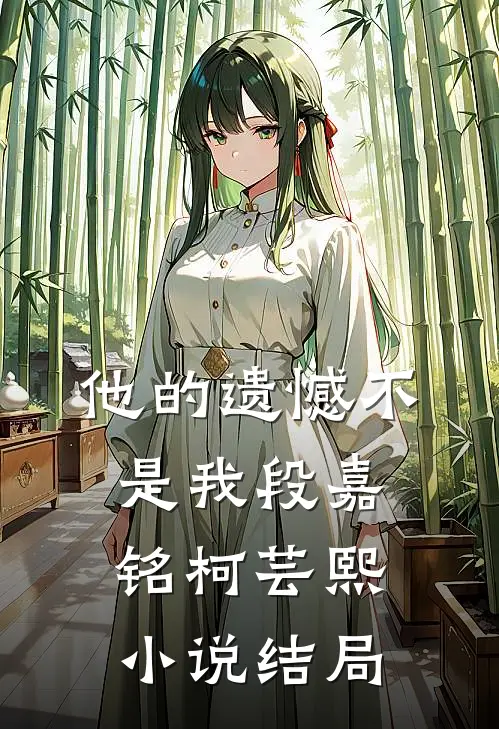 他的遗憾不是我段嘉铭柯芸熙小说结局