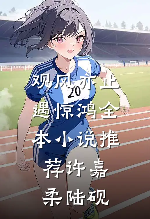 观风亦止遇惊鸿全本小说推荐许嘉柔陆砚