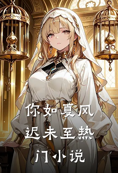 你如夏风迟未至热门小说