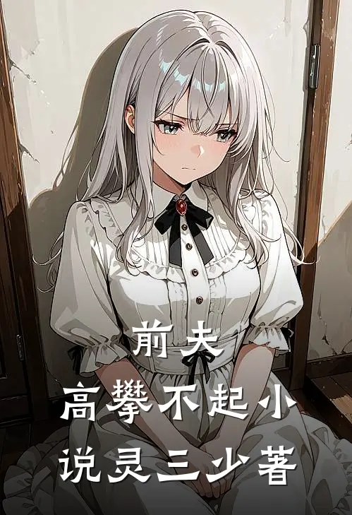 前夫,高攀不起 小说灵三少著