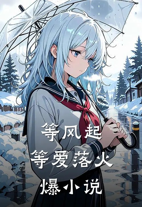 等风起，等爱落火爆小说