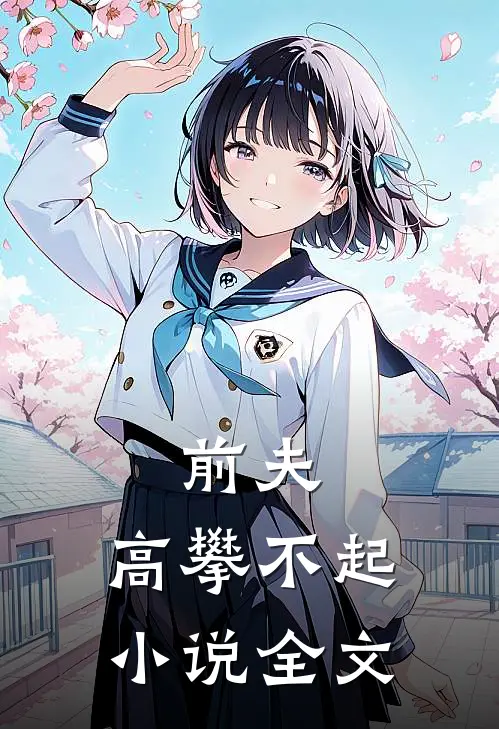 前夫,高攀不起 小说全文