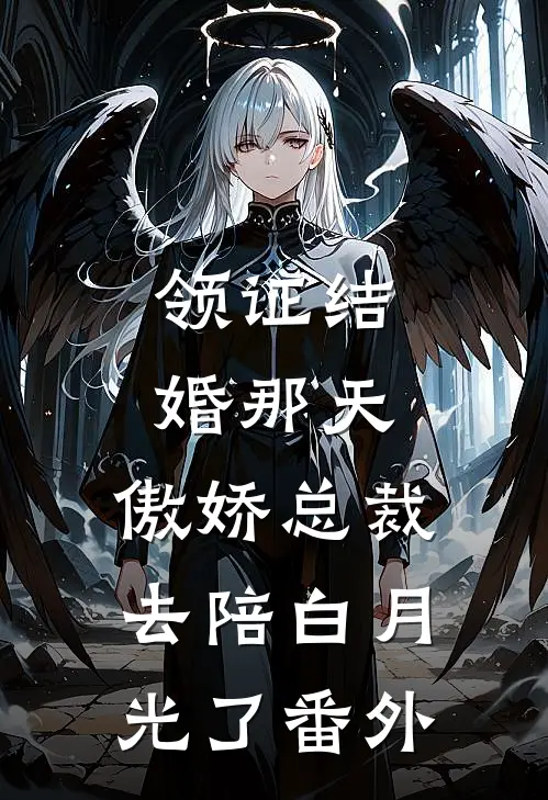 领证结婚那天，傲娇总裁去陪白月光了番外