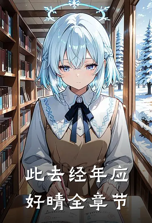 此去经年应好晴全章节
