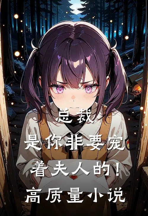 总裁，是你非要宠着夫人的！高质量小说
