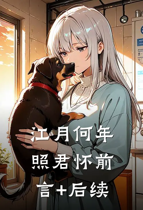 江月何年照君怀前言+后续