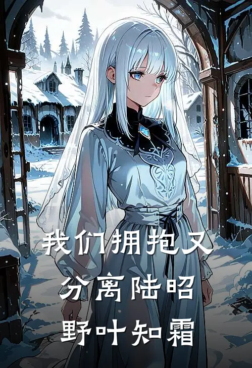 我们拥抱又分离(陆昭野叶知霜)