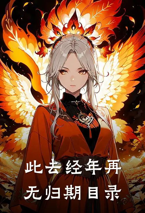 此去经年再无归期目录