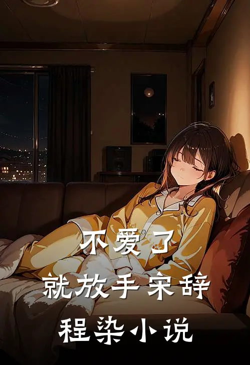 不爱了，就放手宋辞程染小说