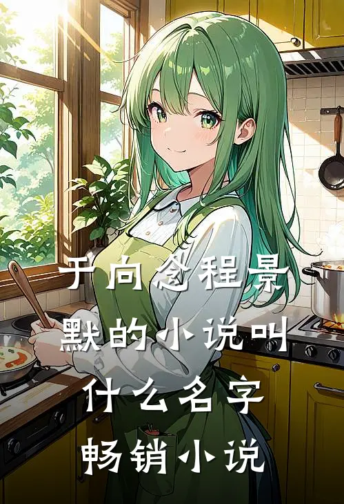 于向念程景默的小说叫什么名字畅销小说