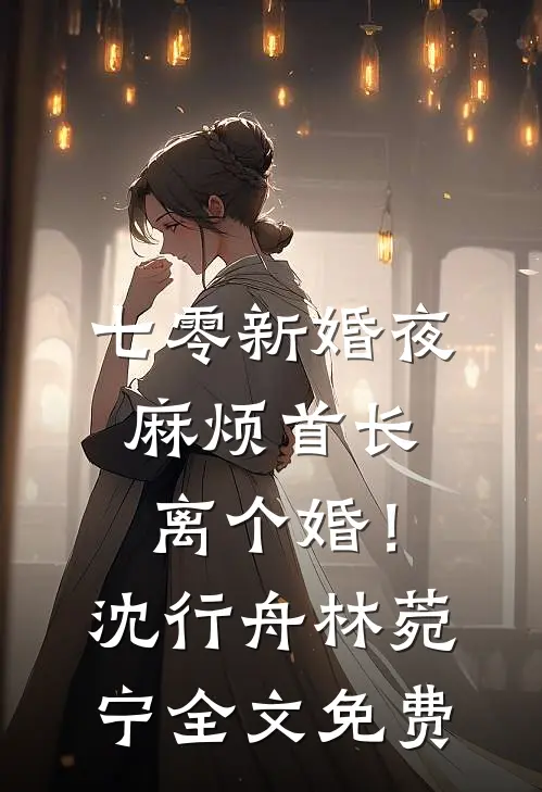 七零新婚夜，麻烦首长离个婚！沈行舟林菀宁全文免费