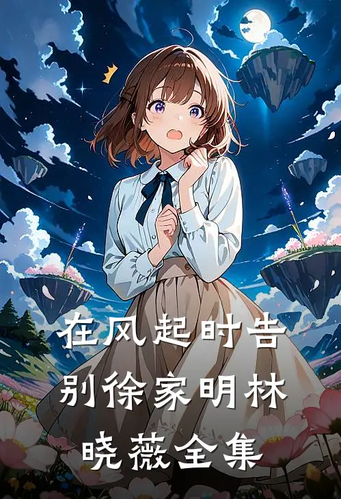 在风起时告别徐家明林晓薇全集