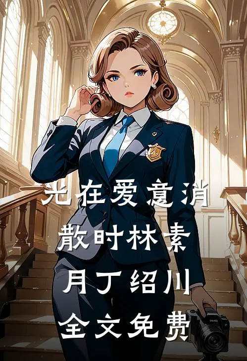 光在爱意消散时林素月丁绍川全文免费