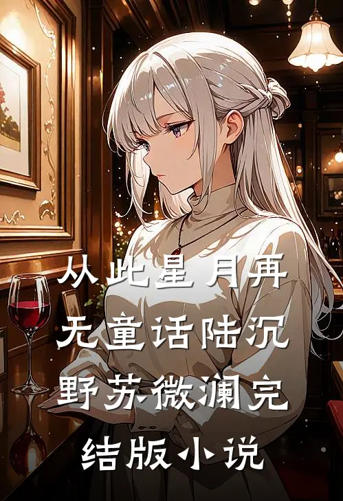 从此星月再无童话陆沉野苏微澜完结版小说