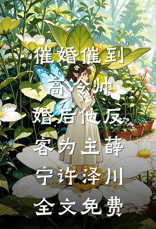 催婚催到高冷帅，婚后他反客为主薛宁许泽川全文免费
