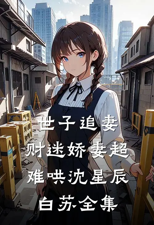 世子追妻：财迷娇妻超难哄沈星辰白苏全集