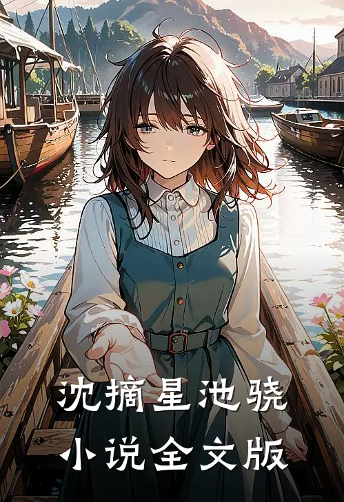 沈摘星池骁小说全文版