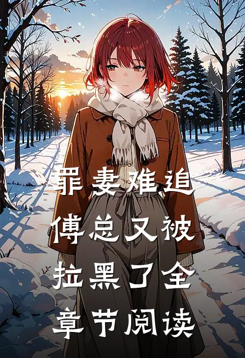 罪妻难追：傅总又被拉黑了全章节阅读