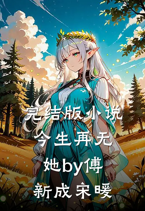 完结版小说今生再无她by傅新成宋暖
