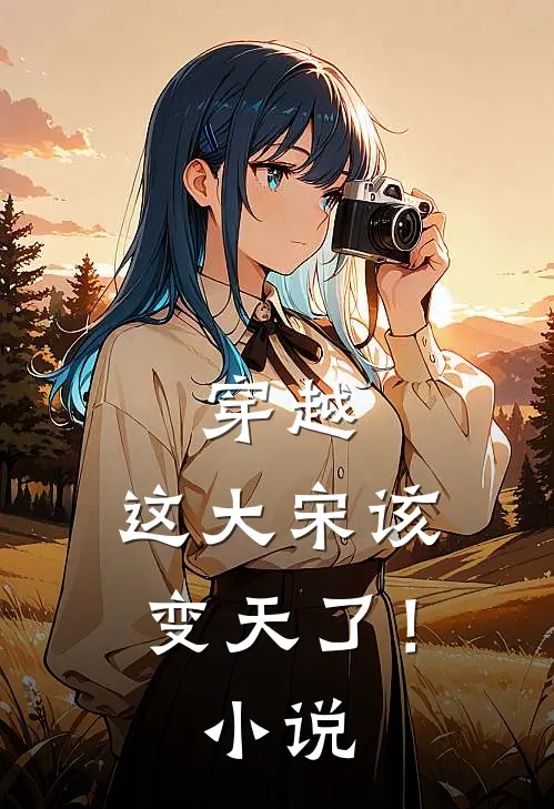 穿越：这大宋该变天了！小说