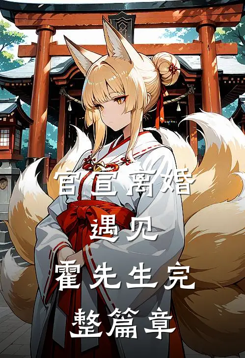 官宣离婚：遇见，霍先生完整篇章
