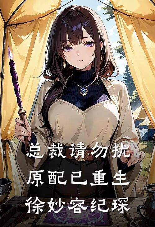 总裁请勿扰,原配已重生徐妙容纪琛
